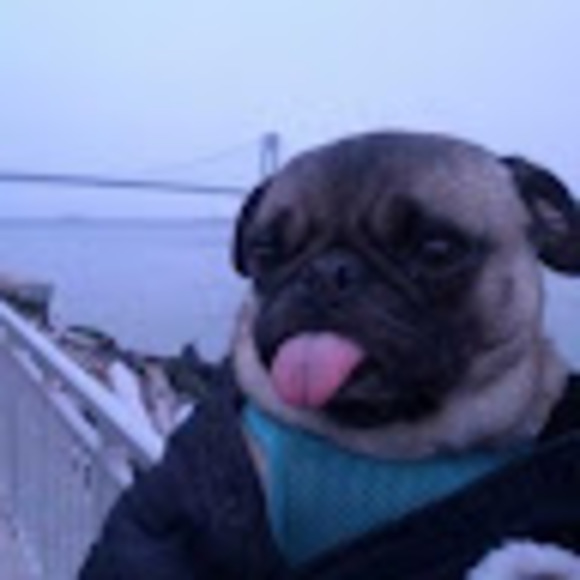 Meet your Posher, N - Picture 1 of 1